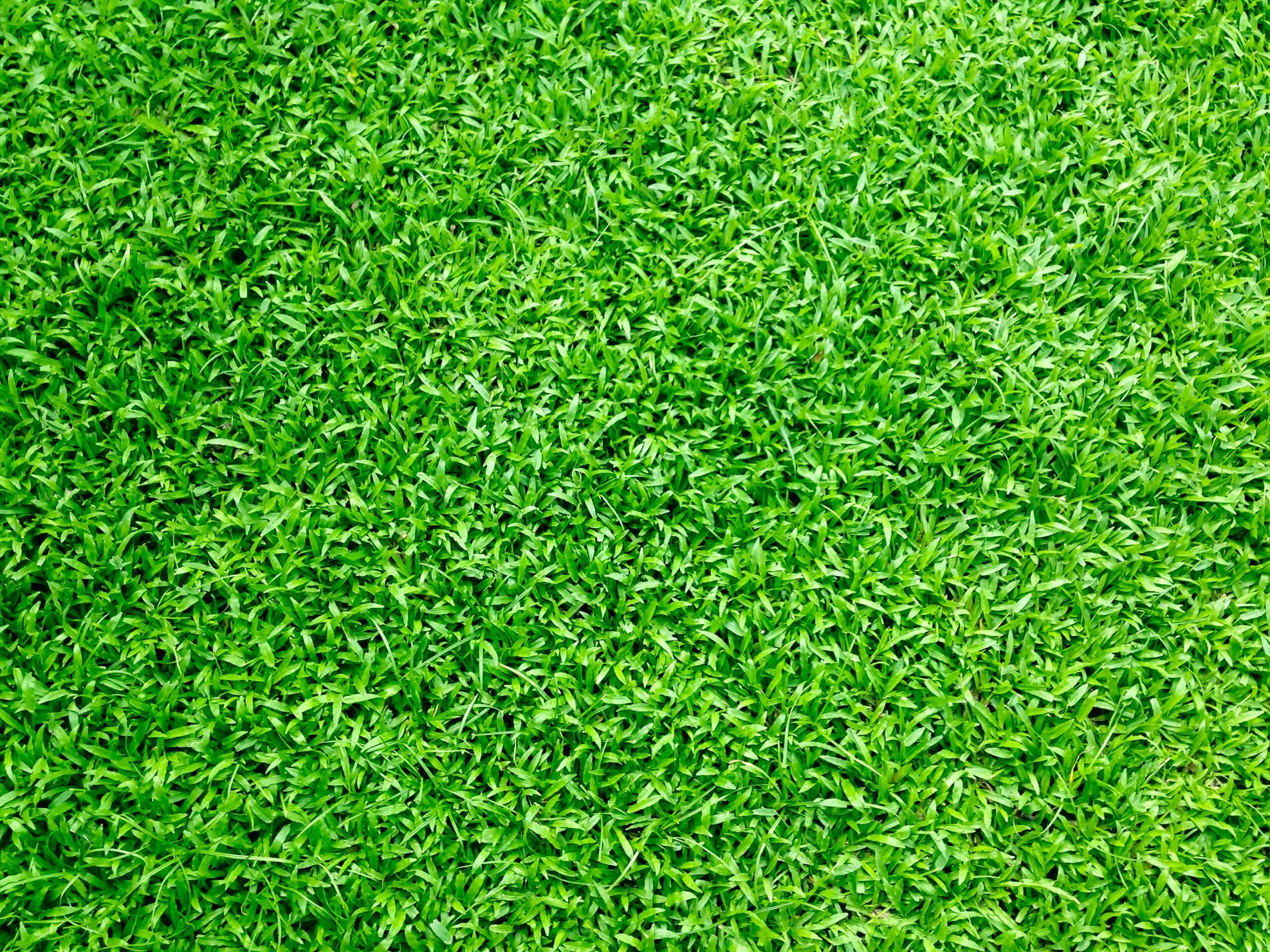 Is Artificial Grass Bad for the Environment