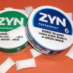 Zyn Pouches: The Smoke-Free Way to Elevate Your Lifestyle